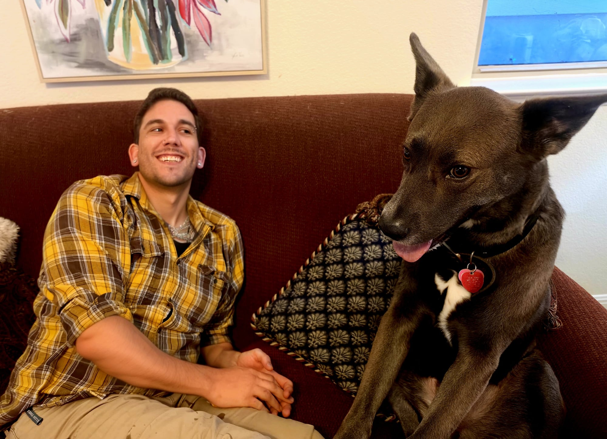 Pet sitting in South Austin: Overnight Dog Boarding Austin 01